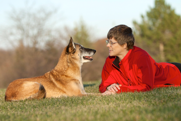 are dutch shepherd dogs friendly or dangerous to strangers