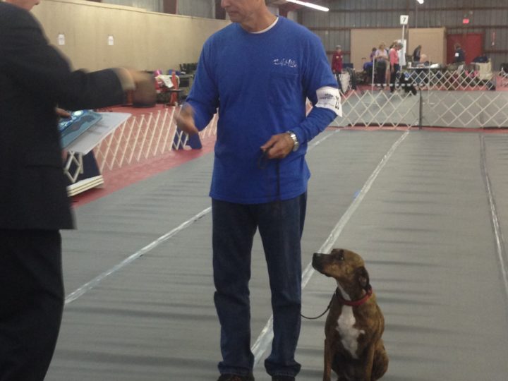 Congratulations to Winners at the AKC Obedience Classic – American ...