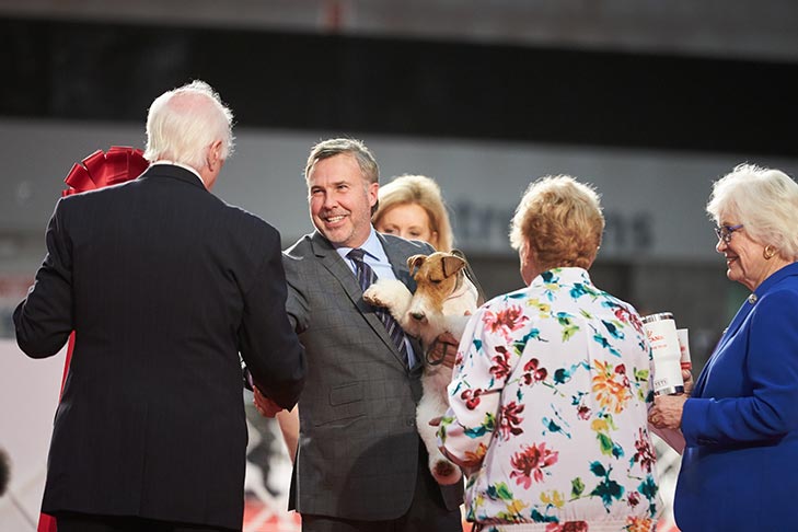Best in Stakes, Terrier Group First, Best of Breed, and 1518- -D-1: Fleet St Forged At Hampton Court, Wire Fox Terrier; 2019 National All-Breed Puppy and Junior Stakes, Orlando, FL.