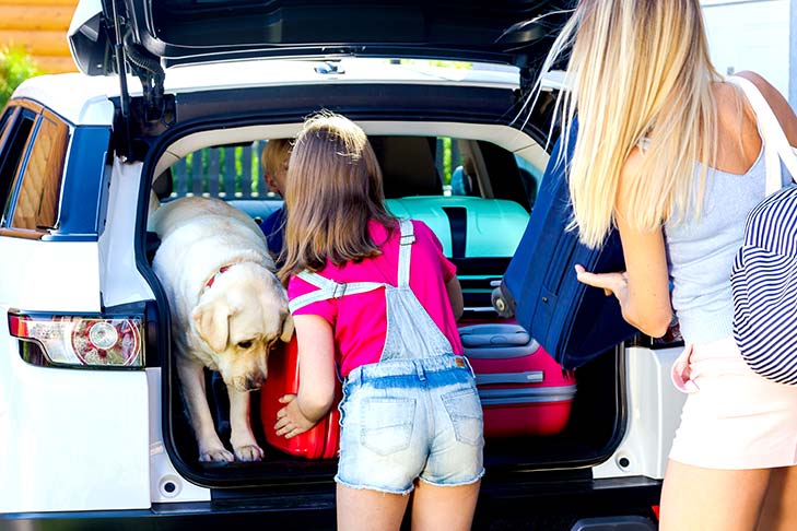 Family loading luggage into the back of a car next to a Labrador retriever.