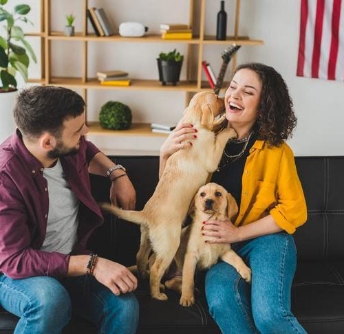 Why Does My Dog Prefer My Partner Over Me? How Couples Can Cope