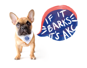 French bulldog wearing a bandanna with the AKC logo, with a speech bubble that says If It Barks, It's AKC