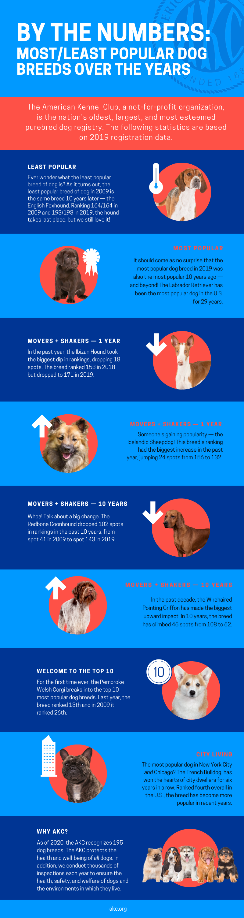 By The Numbers Most & Least Popular Dog Breeds Over the Years
