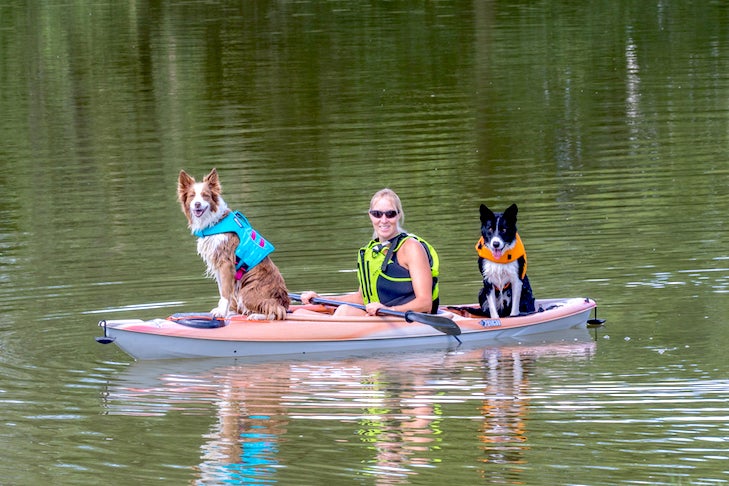 kayak accessories for dogs