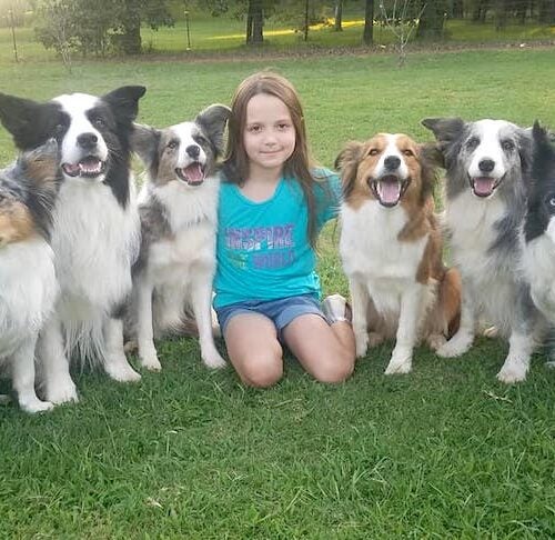 Tiny Trainers: What Happens When Five Children Take On Dog Training?