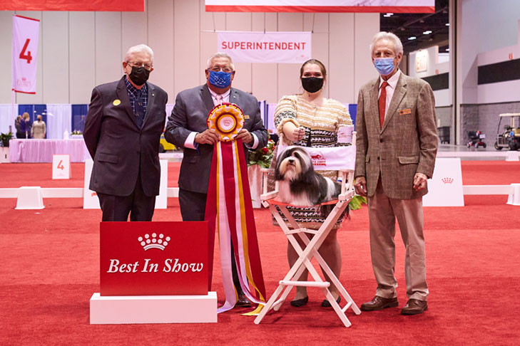 2020 Best in Stakes, Stakes Group First, and Best of Breed: CH Nauti Leighway Send More Boodles (Boodles), Havanese; National All-Breed Puppy and Junior Stakes, Orlando, FL.