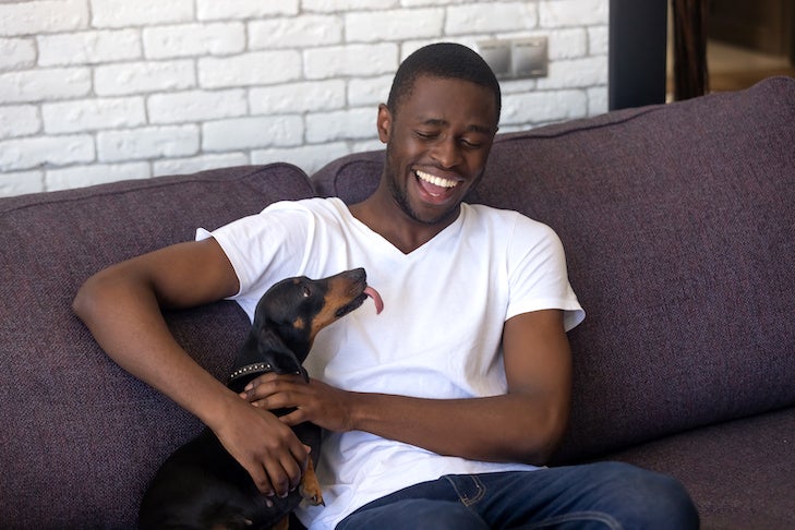 Happy African American young man sit on couch having fun with dackel dog, smiling black male relax at home with funny animal companion, millennial guy laughing playing with pet on home sofa