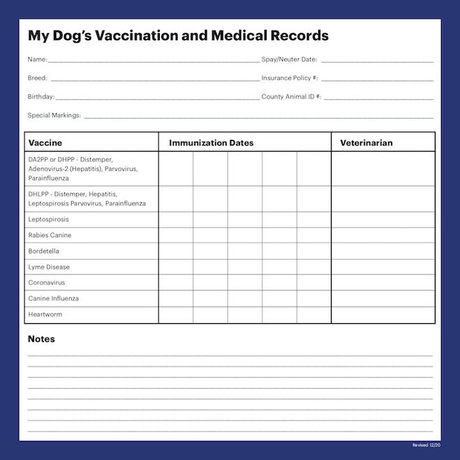 dog-vaccination-record-printable-pdf-fill-online-printable-fillable