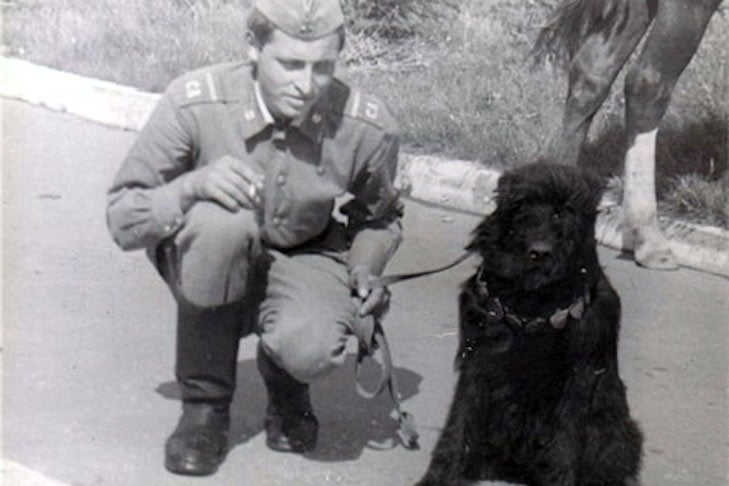 black-russian-terrier-dog-of-war