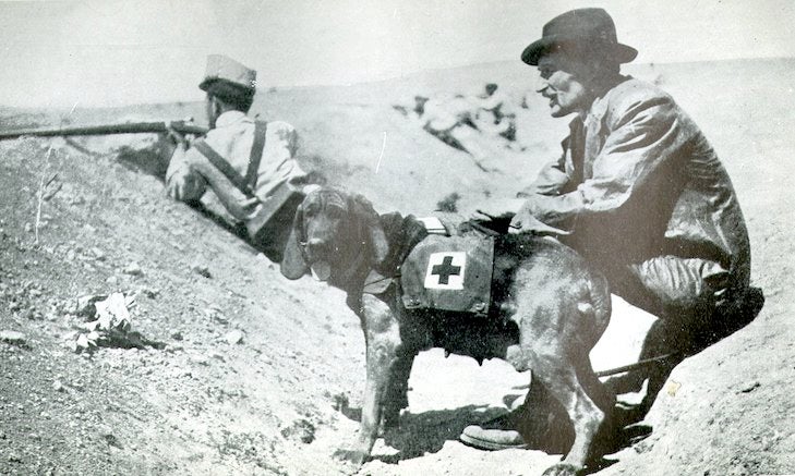 Major Richardson and his Ambulance Bloodhound in the trenches at Melilla in the Spanish War, 1909.