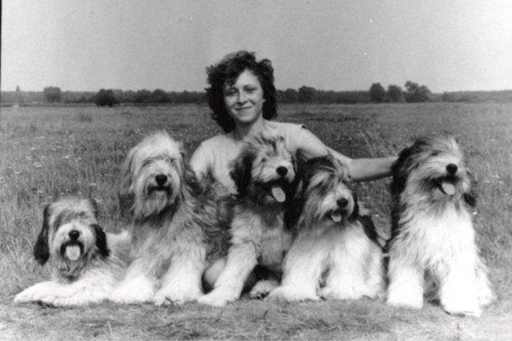 Danuta Hyrniewicz with 5 polish lowland sheepdogs