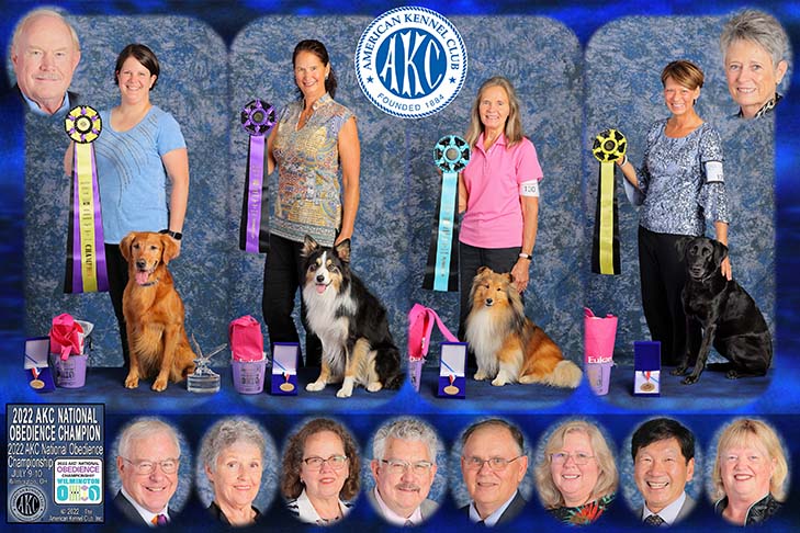 (Left to right): 2022 National Obedience Champion: OTCH12 High Times Shake 'N Bake UDX8 OGM SH (Golden Retriever), "Baker" and handler Kori Bevis. First Runner-Up: OTCH9 HC AGCH MACH5 RACH Norwood Color Me Zayne UDX9 OGM RM3 RAE3 HSAd HSBd HXAd HXBd MXC PDS MJC PJS MFG TQX T2B5 (Border Collie) "Zayne" and handler Kim Berkley. Second Runner-Up: CH OTCH2 MACH Aratone's Royal Keepsake UDX3 OM4 MXS MJS (Shetland Sheepdog) "Kylee" and handler Vicky Gillow. Third Runner-Up: OTCH3 Quantum's She's Red Hot UDX3 OM5 (Labrador Retriever) "Zayna" and handler Petra Ford. 2022 AKC National Obedience Championship, held July 9-10, at the Roberts Centre/Royal Canin Ring in Wilmington, OH.