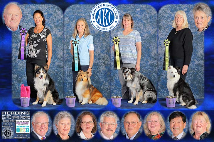 Herding Group first four placements (left to right): First Place: OTCH9 HC AGCH MACH5 RACH Norwood Color Me Zayne UDX9 OGM RM3 RAE3 HSAd HSBd HXAd HXBd MXC PDS MJC PJS MFG TQX T2B5 (Border Collie) and handler Kim Berkley. Second Place: CH OTCH2 MACH Aratone's Royal Keepsake UDX3 OM4 MXS MJS (Shetland Sheepdog) and handler Vicky Gillow. Third Place: OTCH Blue Skies At Dejavu OM1 (Australian Shepherd) and handler Kathleen Keller. Fourth Place: OTCH4 HC Norwood Irresistible UDX4 PCD OM8 HSAds HSBds HIBs HXAds HXBd (Border Collie) and handler Marion Crain. 2022 AKC National Obedience Championship, held July 9-10, at the Roberts Centre/Royal Canin Ring in Wilmington, OH.