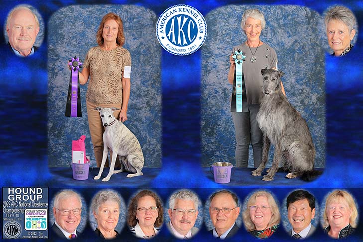 Hound Group placements (left to right): First Place: Emerald's Austin UD OM1 BN RE NA NAJ CGCA (Whippet) and handler Meleta Galles. Second Place: OTCH Blue Moon Ballad At Skyhigh UDX6 OGM RA TD TKN (Scottish Deerhound) and handler Deborah Cutter. 2022 AKC National Obedience Championship, held July 9-10, at the Roberts Centre/Royal Canin Ring in Wilmington, OH.