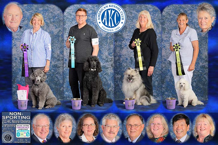 Non-Sporting Group first four placements (left to right): First Place: OTCH Eclassic's Ansel's Silver Image UDX4 OM8 NA NAJ OAP OJP NFP CGC TKN (Poodle) and handler Valerie Earwood. Second Place: Gladystar Summertimes Olive Delight UDX2 OM4 RA CGC (Poodle) and handler Kyle Johnson. Third Place: GCH CH OTCH7 Wyndspell Spring Fling UDX6 OGM (Keeshond) and handler Marion Crain. Fourth Place: Pixie Bell UDX2 OM3 BN VER CGCU TKN (Poodle) and handler Kerry Bell. 2022 AKC National Obedience Championship, held July 9-10, at the Roberts Centre/Royal Canin Ring in Wilmington, OH.