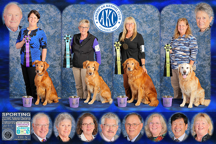 Sporting Group first four placements (left to right): 2022 National Obedience Champion: OTCH12 High Times Shake 'N Bake UDX8 OGM SH (Golden Retriever), "Baker" and handler Kori Bevis. Second Place: NOC OTCH9 High Times Totally Sauced UDX8 PCD OGM SH (Golden Retriever) and handler Sharri Sibert. Third Place: OTCH9 Sunfire's Whiz Kid UDX9 PUTD OGM VER RE DM DS AS CGC TKA (Golden Retriever) and handler Kathy Klein. Fourth Place: OTCH18 Topbrass The Greatest Show On Earth UDX14 OGM BN GN (Golden Retriever) and handler Annette Sizemore. 2022 AKC National Obedience Championship, held July 9-10, at the Roberts Centre/Royal Canin Ring in Wilmington, OH.