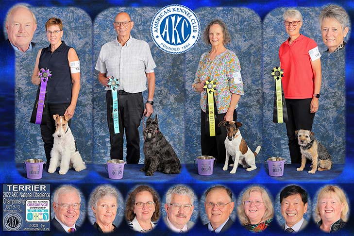 Terrier Group first four placements (left to right): First Place: CH Tes Right On Queue UDX2 PCD OM4 (Wire Fox Terrier) and handler Robin James. Second Place: L's Legacy's Fortunate Son UDX3 OM4 VER NA NAJ OAP ACT2 RATS CGC (Miniature Schnauzer) and handler Martin Zarge. Third Place: CH Sheez-Beez Chip N Dales Star UDX4 PCDX OM6 BN VER RM RAE ME RATCHX (Smooth Fox Terrier) and handler Ingrid Butt. Fourth Place: GCH CH OTCH2 Riverside Jaguar UDX2 OM5 BN GN RE NA NAJ (Border Terrier) and handler Adele Yunck. 2022 AKC National Obedience Championship, held July 9-10, at the Roberts Centre/Royal Canin Ring in Wilmington, OH.
