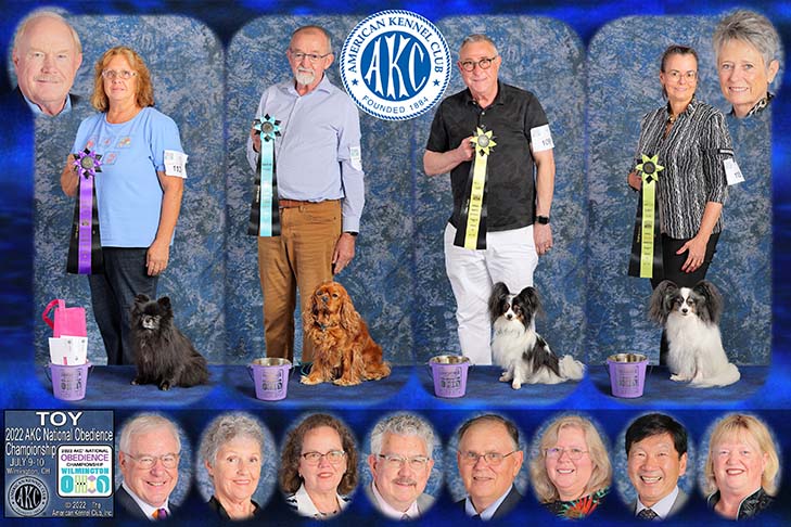 Toy Group first four placements (left to right): First Place: OTCH2 Kramie's Ever So Clever UDX3 OM5 GO MX MXJ (Pomeranian) and handler Peggy McGrath. Second Place: OTCH4 Kimark Take It To The Max UDX7 OGM BN GO (Cavalier King Charles Spaniel) and handler Michael Bode. Third Place: OTCH6 Denzel Insignia Take Me Seriously UDX10 OGM BN (Papillon) and handler Eugene Morris. Fourth Place: CH OTCH Wingssong Moves Like Jagger UDX4 OM8 GN (Papillon) and handler Nancy Muller. 2022 AKC National Obedience Championship, held July 9-10, at the Roberts Centre/Royal Canin Ring in Wilmington, OH.