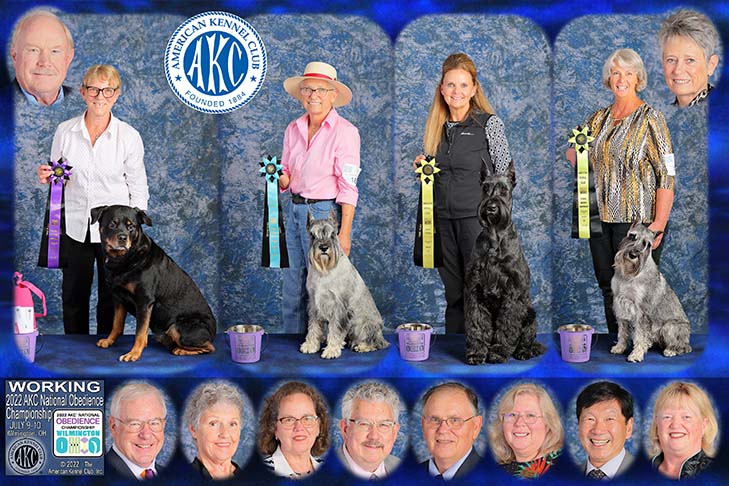 Working Group first four placements (left to right): First Place: OTCH3 SilverHeart's StoryBook UDX8 OGM RE TT CGC TKA (Rottweiler) and handler Patricia Rovtar. Second Place: GCHB CH Semper Fi Dasher UDX4 OM5 BN RA FDC CAX CGC (Standard Schnauzer) and handler Sharon Clarke. Third Place: OTCH5 Skansen's Made You Look UDX8 OGM RAE (Giant Schnauzer) and handler Laura Ray. Fourth Place: GCH CH Oakwood Give Me An A UDX OM1 BN VER RE OAP OJP OFP CGCA TKN (Standard Schnauzer) and handler Marcia Dawson. 2022 AKC National Obedience Championship, held July 9-10, at the Roberts Centre/Royal Canin Ring in Wilmington, OH.