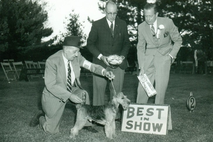 Historical image of Welsh Terrier winning Best in Show