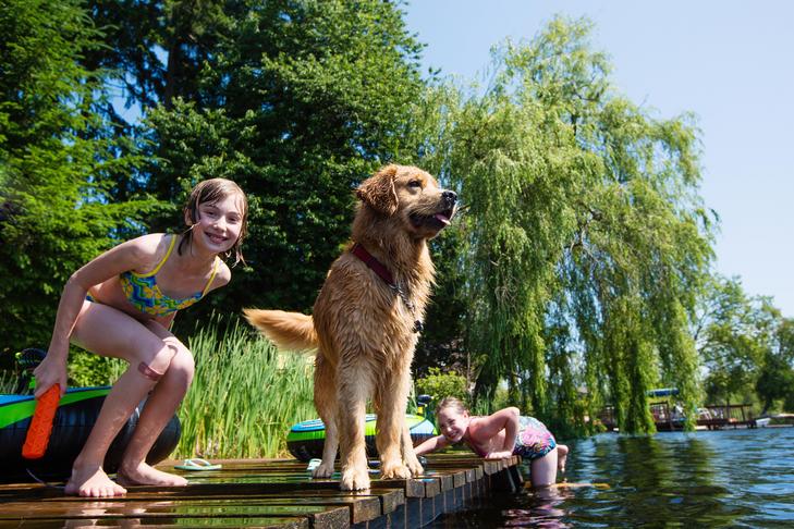 Golden Retriever playing with two girls at the lake.